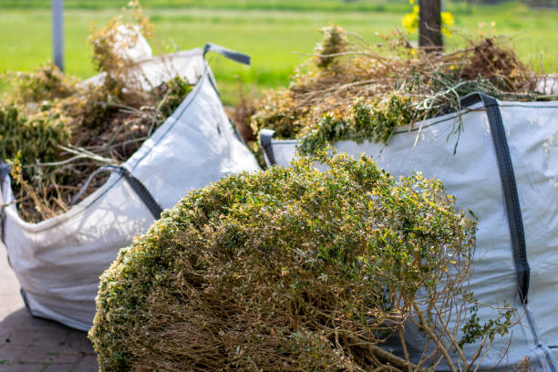 Best Shed Removal  in Harvey, MI